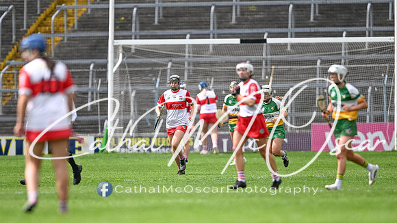 Derry v Offaly (109 of 148)