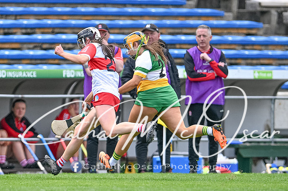 Derry v Offaly (129 of 148)