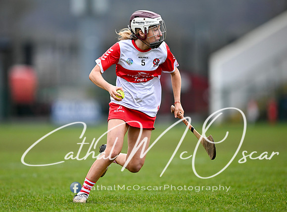 Derry v Offaly (12 of 142)