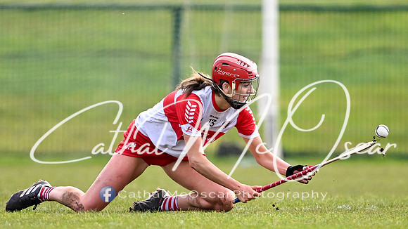 Derry v Offaly (40 of 142)