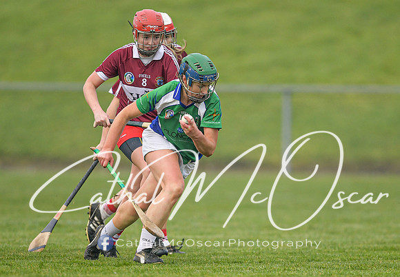 Derry v Kildare (28 of 128)