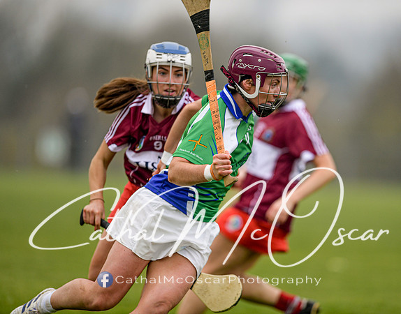 Derry v Kildare (94 of 45)
