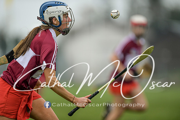 Derry v Kildare (100 of 45)