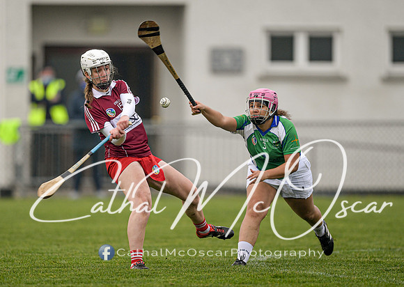 Derry v Kildare (106 of 45)