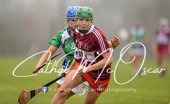 Derry v Kildare (112 of 45)