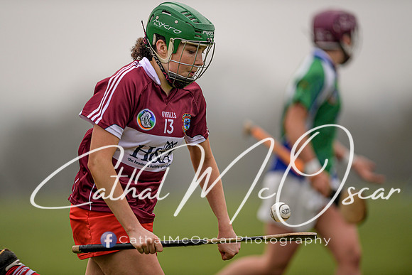 Derry v Kildare (115 of 45)