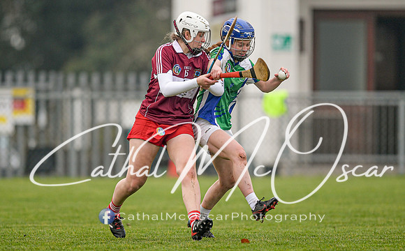 Derry v Kildare (124 of 45)