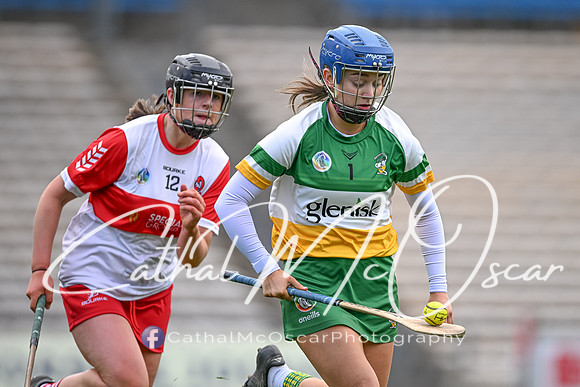 Derry v Offaly (140 of 148)