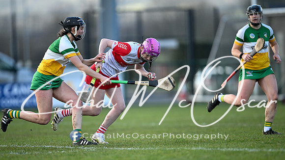 Derry v Offaly (90 of 142)