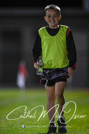 Craigbane v Lissan (169 of 186)