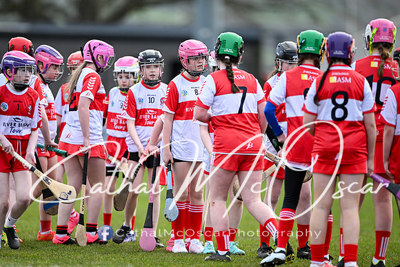 Derry v Offaly (73 of 142)