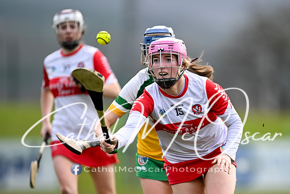 Derry v Offaly (34 of 142)