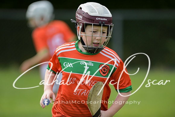 Lavey v Loughiel (14 of 222)
