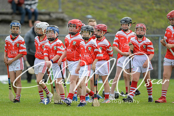 Lavey v Loughiel (23 of 222)