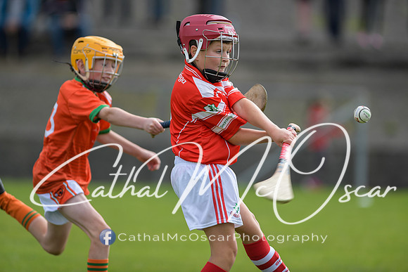 Lavey v Loughiel (41 of 222)