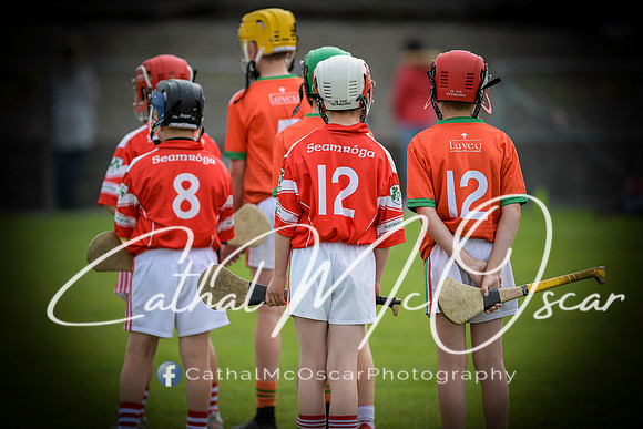 Lavey v Loughiel (30 of 222)