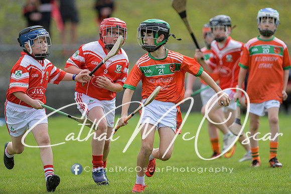 Lavey v Loughiel (36 of 222)