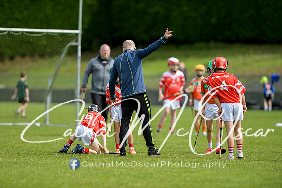 Lavey v Loughiel (58 of 222)