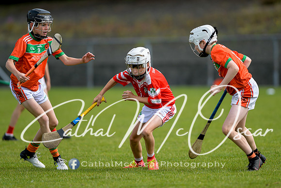 Lavey v Loughiel (85 of 222)