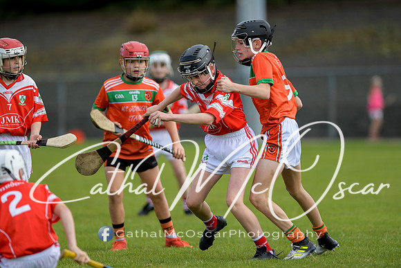 Lavey v Loughiel (83 of 222)