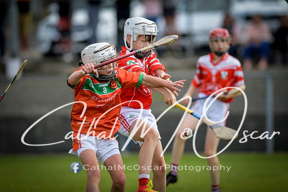 Lavey v Loughiel (88 of 222)