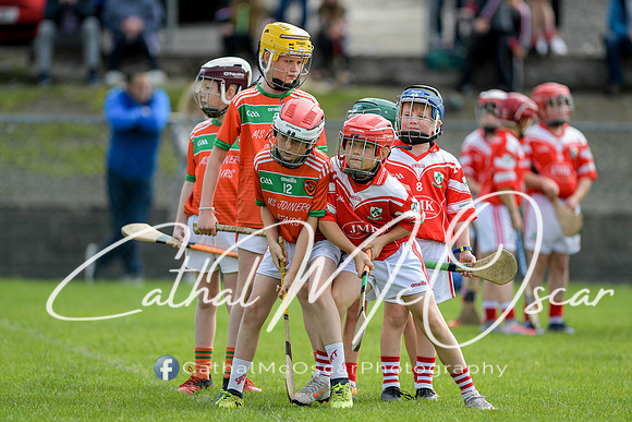 Lavey v Loughiel (99 of 222)