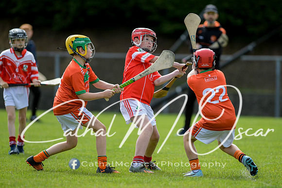 Lavey v Loughiel (101 of 222)