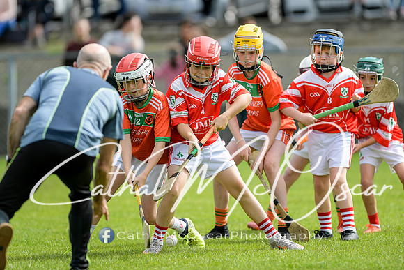 Lavey v Loughiel (100 of 222)