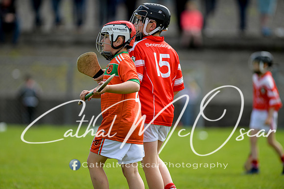 Lavey v Loughiel (106 of 222)