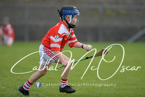 Lavey v Loughiel (44 of 222)