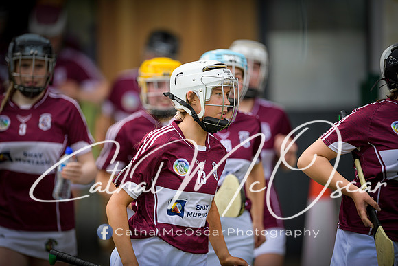Derry v Westmeath (4 of 181)