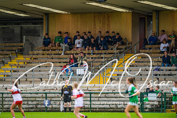 Derry v Fermanagh (88 of 275)