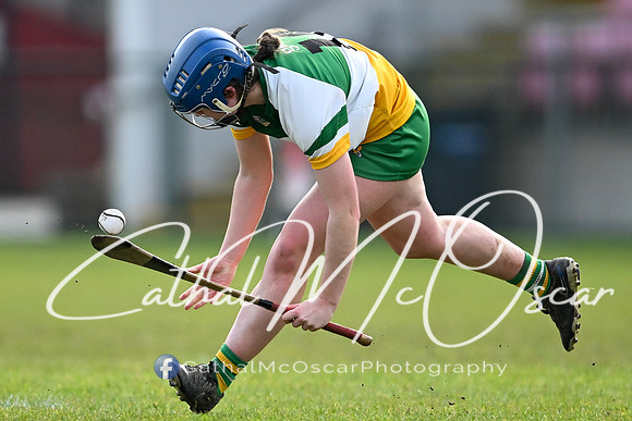 Derry v Offaly (45 of 142)
