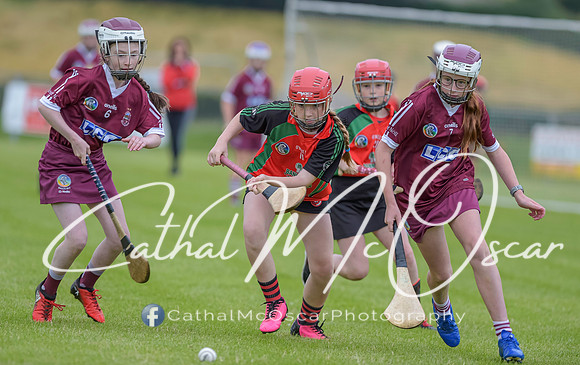U12 Dan McCrystal Cup (2 of 268)