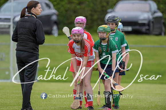 U12 Dan McCrystal Cup (3 of 268)