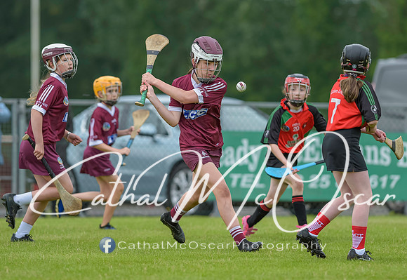U12 Dan McCrystal Cup (8 of 268)