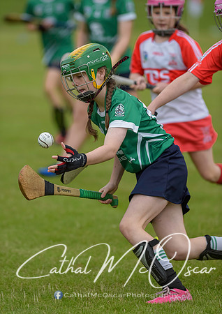 U12 Dan McCrystal Cup (7 of 268)