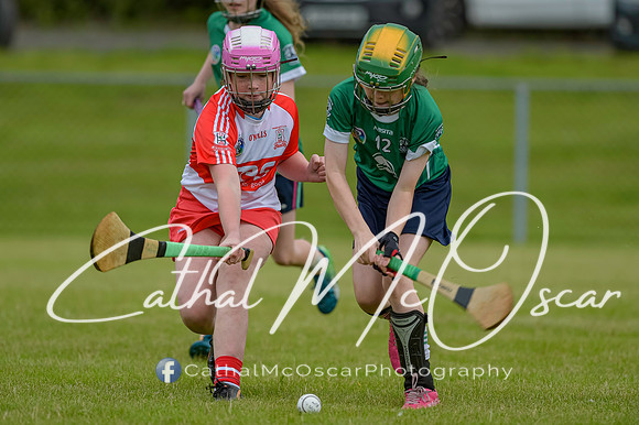 U12 Dan McCrystal Cup (15 of 268)