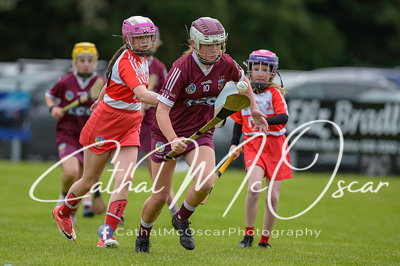 U12 Dan McCrystal Cup (71 of 268)