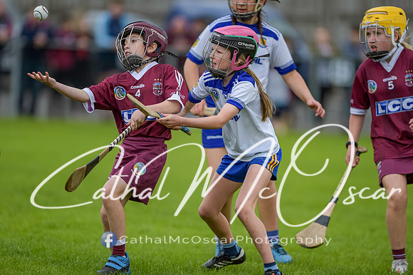 U12 Dan McCrystal Cup (173 of 268)