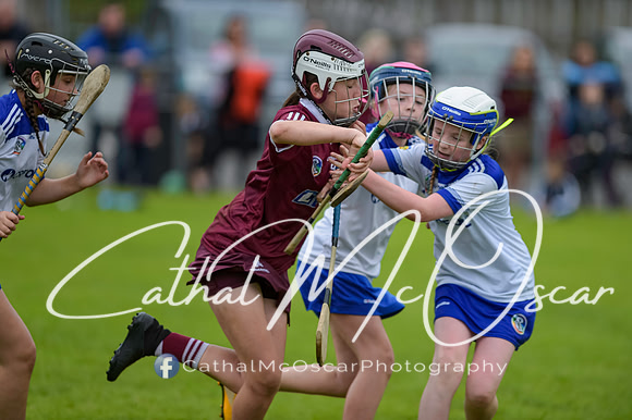 U12 Dan McCrystal Cup (188 of 268)