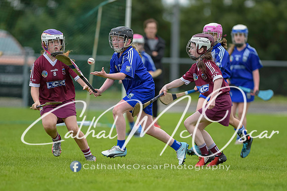 U12 Dan McCrystal Cup (229 of 268)