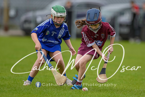 U12 Dan McCrystal Cup (250 of 268)