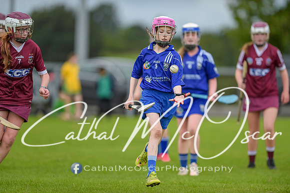 U12 Dan McCrystal Cup (255 of 268)