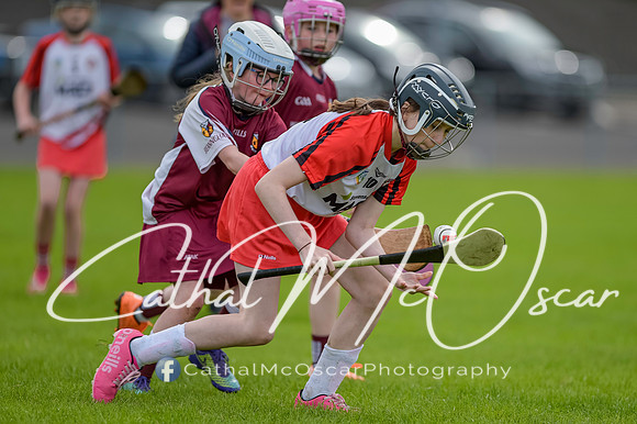 U12 Dan McCrystal Cup (97 of 268)