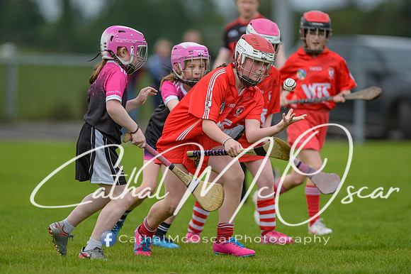 U12 Dan McCrystal Cup (98 of 268)
