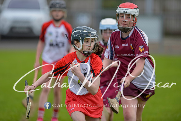 U12 Dan McCrystal Cup (101 of 268)