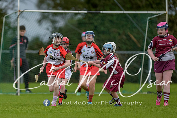U12 Dan McCrystal Cup (106 of 268)