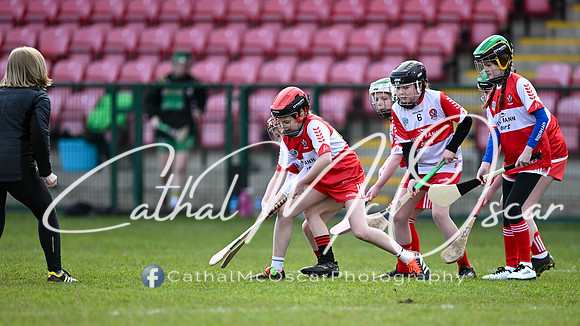 Derry v Offaly (55 of 142)