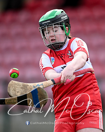 Derry v Offaly (66 of 142)